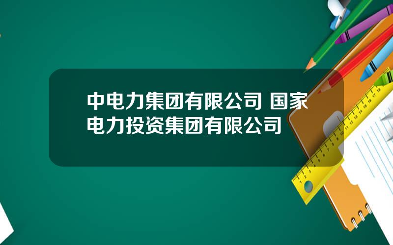 中电力集团有限公司 国家电力投资集团有限公司